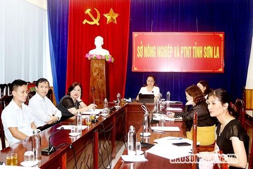 Thí điểm xây dựng vùng nguyên liệu nông, lâm sản đạt chuẩn