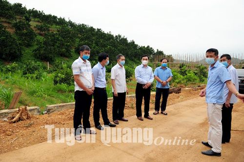 Sáng tạo, đột phá trong công tác tham mưu về tổ chức, xây dựng Đảng