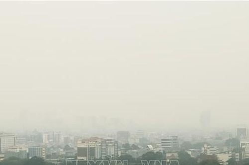 Indonesia kêu gọi tài trợ giảm khí thải