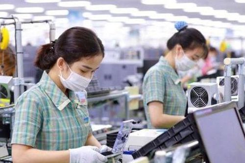 Tiền Giang nói gì việc 19 doanh nghiệp FDI 'kêu cứu'?