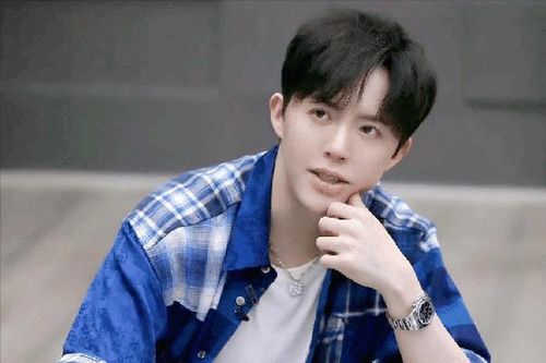 Nghệ sĩ Lý Vân Địch bị cảnh sát bắt giữ vì mua dâm