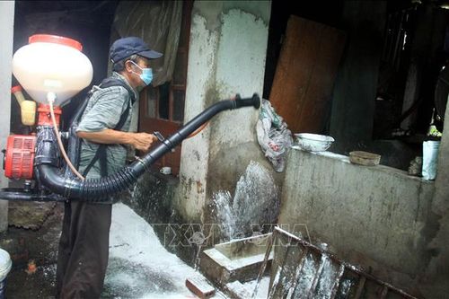 Ngăn chặn nguy cơ lan rộng dịch tả lợn châu Phi