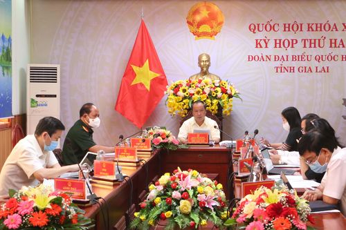 Đoàn đại biểu Quốc hội tỉnh Gia Lai đề xuất nhiều giải pháp phát triển kinh tế-xã hội