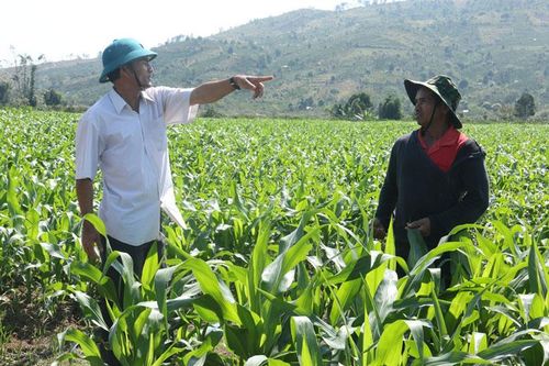 Thay đổi tập quán canh tác để làm giàu