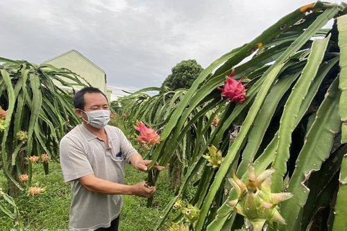 Khánh Tiên tích cực xây dựng xã nông thôn mới nâng cao