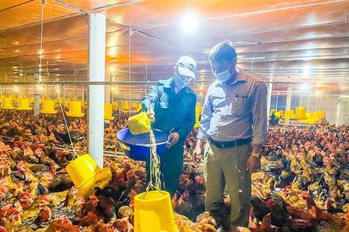 Chuyện cựu chiến binh 'hai vai hai gánh'