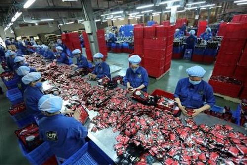 Thế giới IMF cắt giảm dự báo tăng trưởng kinh tế của châu Á