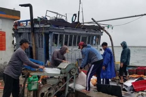 Kinh tế Kinh tế Cho phép tàu thuyền ra khơi từ ngày 21/10