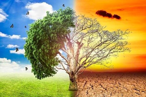 Thêm bằng chứng, con người là tác nhân chính gây biến đổi khí hậu