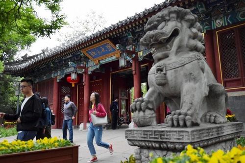 Trung Quốc áp đảo trong bảng xếp hạng đại học thế giới, top 10 có tới 8 đại diện