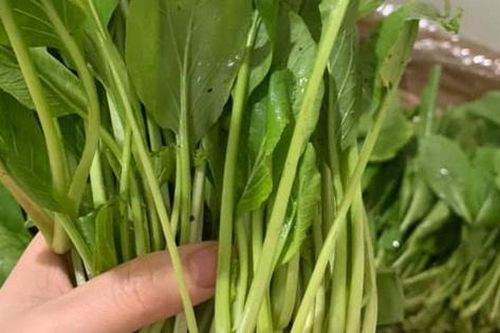Giá rau xanh Hà Nội dự báo tiếp tục 'phi mã' khi nhiệt độ kéo giảm