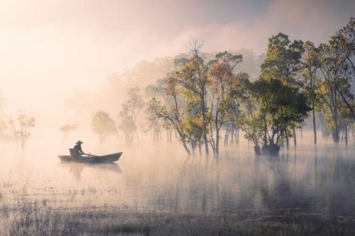 'Bản tình ca mùa thu' đoạt giải Vàng thi ảnh quốc tế