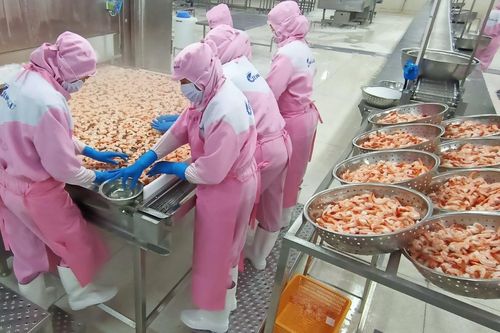 Doanh nghiệp tôm lo đứt gãy chuỗi cung ứng lao động