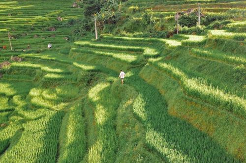 Người trẻ lên kế hoạch cho những chuyến đi sau dịch