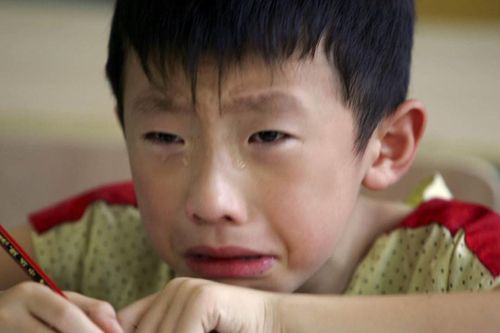'Cha hùm mẹ hổ' Trung Quốc đã đi đâu?