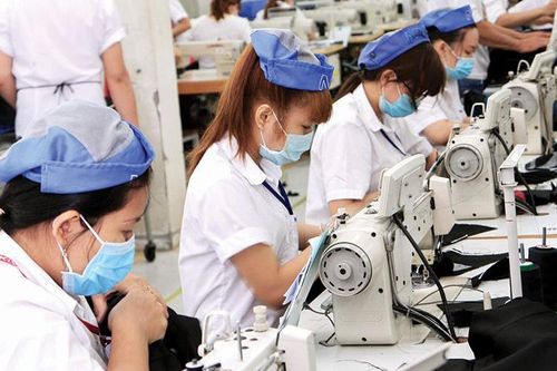 Đào tạo nguồn nhân lực có kỹ năng, giúp doanh nghiệp phục hồi sản xuất, kinh doanh