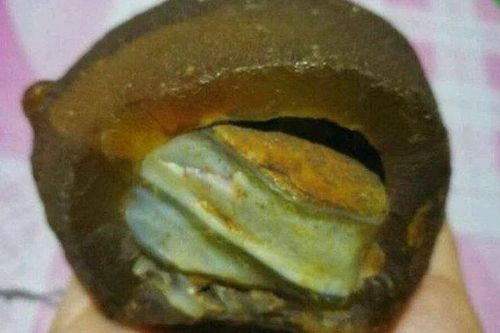 Tìm thấy 'cục thịt' phát sáng, vỡ òa nhận ra là báu vật trời ban