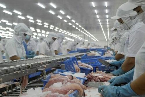 Đề nghị đưa ngành chế biến thủy sản ra khỏi danh mục có nguy cơ gây ô nhiễm môi trường