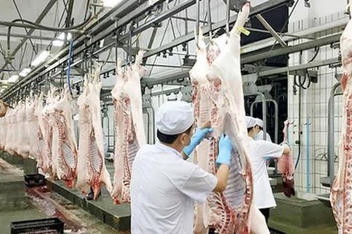 Giá lợn hơi giảm kỷ lục, Phó Thủ tướng yêu cầu làm rõ chi phí từng khâu