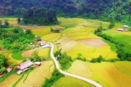 Cao đường ''Sa Pa'' của Hàm Yên