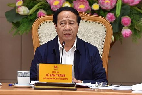 Giá thịt lợn xuống đáy, Phó Thủ tướng chỉ ra điểm bất hợp lý
