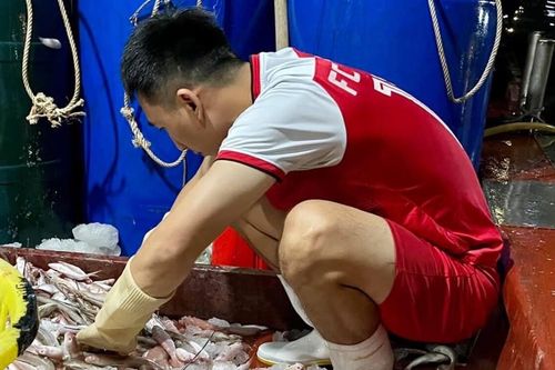 Sao V.League phải đền 5 tỷ cho đội bóng cũ của Công Vinh vì 'quay xe'?