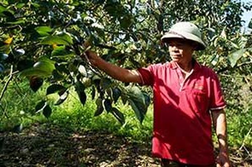 Cần chú trọng phát triển tài sản trí tuệ hồng Bảo LâmTin khácXét tặng danh hiệu 'Công dân Lạng Sơn ưu tú': Tôn vinh những tấm gương điển hìnhNỗ lực thực hiện Nghị quyết số 116
