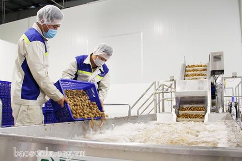 Sơn La - thu hút các nhà đầu tư