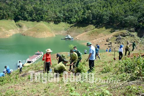 Phát huy lợi thế cây bản địa