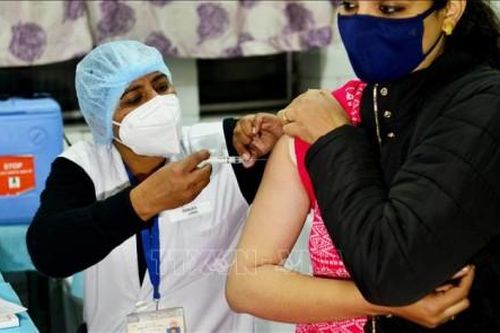 Thế giới Thế giới Vaccine COVID-19 dự kiến sẽ được xuất khẩu với số lượng 'lớn'