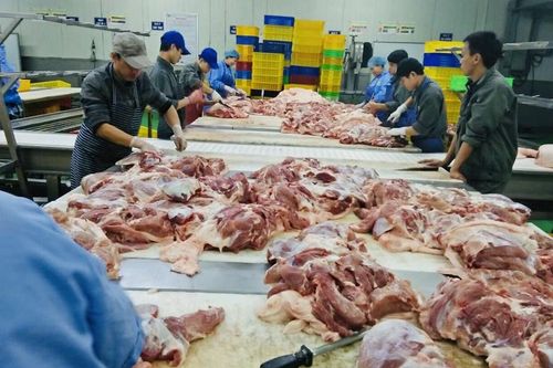 Các doanh nghiệp nông nghiệp: Tập trung phục hồi sản xuất