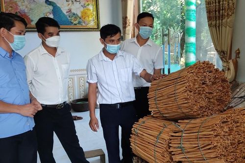 Bài 2: Nâng cao giá trị cây quế
