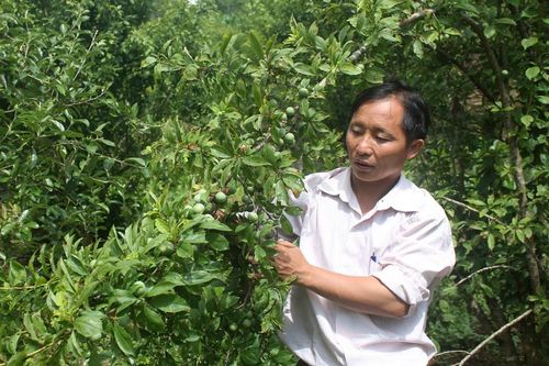 Tín hiệu vui trong thực hiện tiêu chí thu nhập ở Si Ma Cai