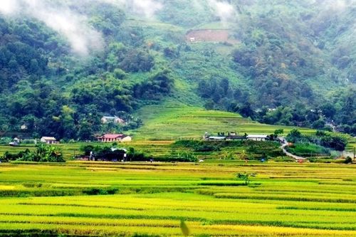 Ngày 30/10 sẽ khai mạc Giải đua xe đạp 'Hương cốm Lào Cai' lần I năm 2021