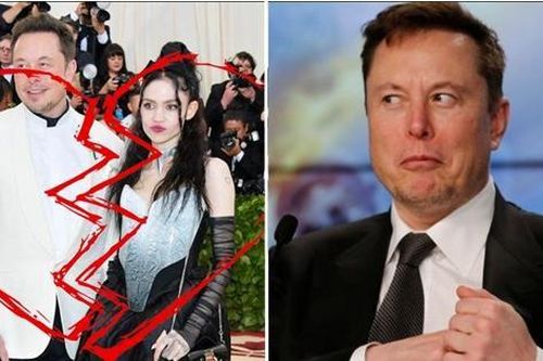 Dân IT 'thả thính' thế nào cho ngầu, tỷ phú giàu nhất thế giới Elon Musk mách nước đây này