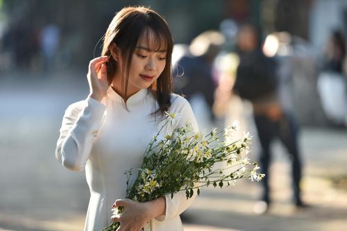 Cúc họa mi đầu mùa xuống phố, giá cao vẫn hút khách mua