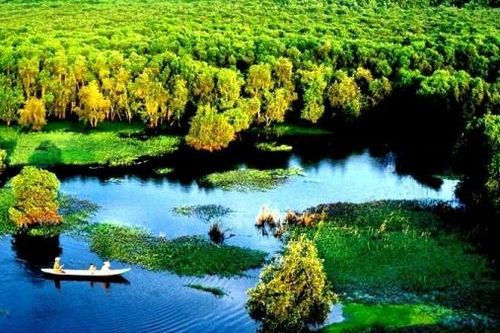 Rừng tràm Trà Sư: Từ vùng trũng hoang hóa đến điểm du lịch lý tưởng