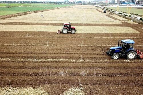 Trung Quốc gắn an ninh lương thực và năng lượng với mục tiêu giảm phát thải