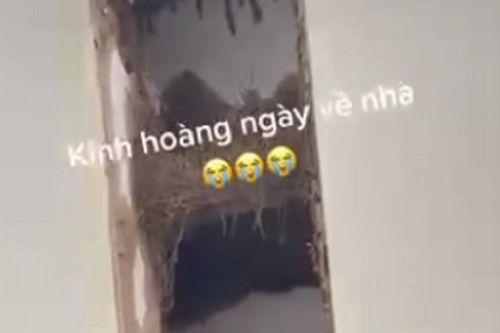 Đoạn clip vỏn vẹn 11 giây nhưng khiến nhiều người 'nổi da gà' với cảnh tượng trước mắt