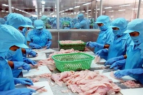 'Nữ hoàng cá tra' Vĩnh Hoàn báo lãi lớn