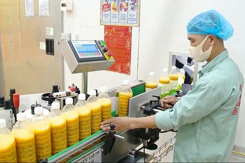 Gia Lai ban hành Quy chế hoạt động Tổ công tác đặc biệt
