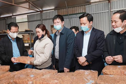 Phát huy vai trò, vị thế kinh tế tập thể