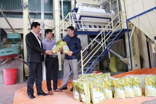 Tháo rào cản cho kinh tế tập thể