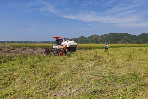 Hiện thực hóa Nghị quyết ở xã nông thôn mới nâng cao