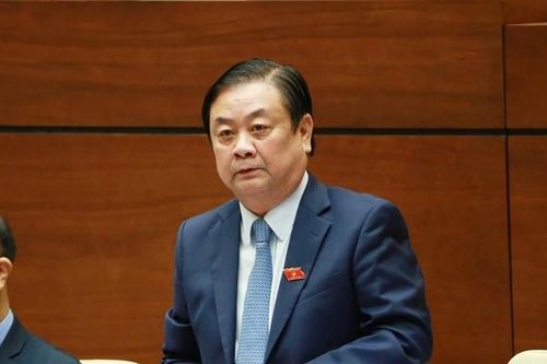 Giá lợn hơi chạm đáy, giá chợ cao ngất ngưởng: Bộ trưởng Nông nghiệp lên tiếng