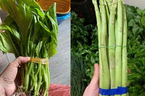 Chỉ 3 ngày không đi chợ, người dân choáng váng với giá rau cải mơ 50.000 đồng/kg