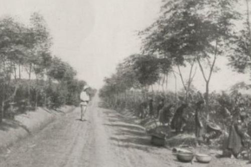 Giãn cách, cà phê và nhìn lại lịch sử thế giới từ cà phê