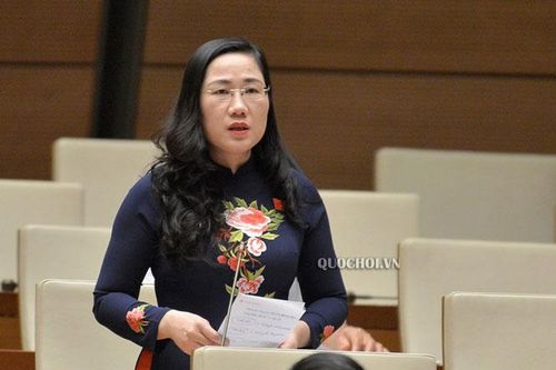 Đại biểu Quốc hội: Ở 'vùng đỏ' nếu không cho phép tạm đình chỉ điều tra thì không thể tiến hành biện pháp nghiệp vụ