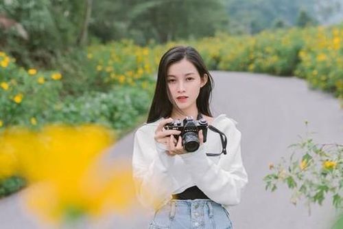 Giới trẻ 'checkin' vườn hoa dã quỳ lớn nhất Thủ đô