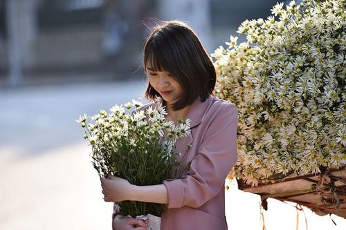 Cúc họa mi xuống phố, giới trẻ tranh thủ 'sống ảo' cháy máy